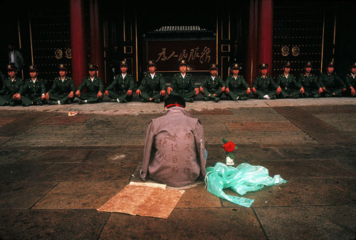 beijing_rose_jarecke