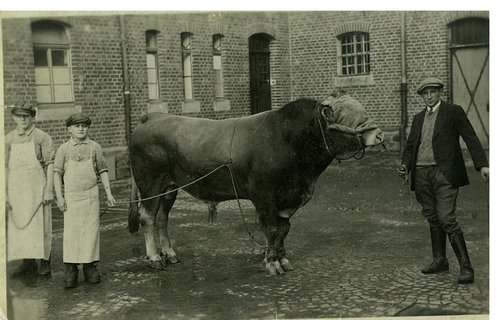 family business in Germany before WWII.jpg